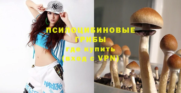 прущий лед Кулебаки