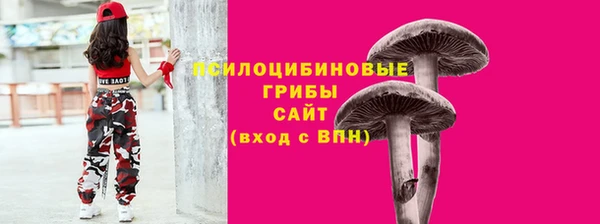 прущий лед Кулебаки